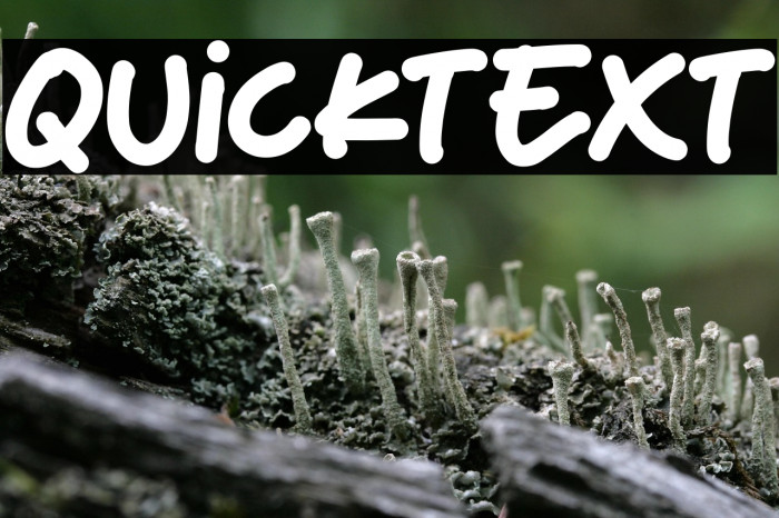 Quicktext Example 1