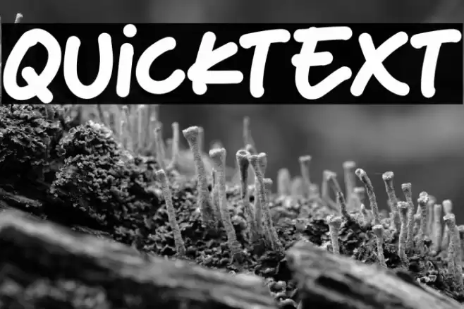 Quicktext फ़ॉन्ट examples