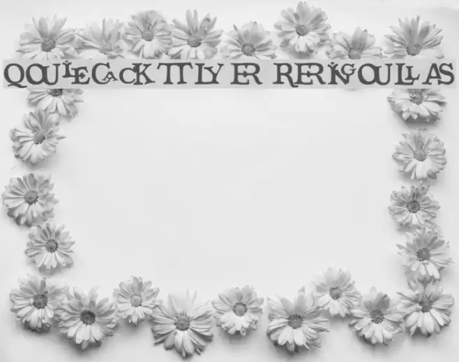 Quicktype Regular خط examples