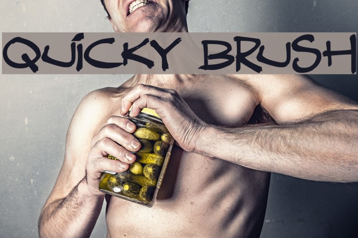 Quicky Brush Font examples