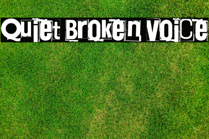 Quiet Broken Voice Example 1