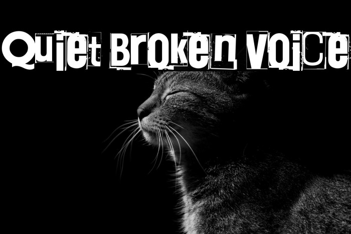 Quiet Broken Voice Example 3