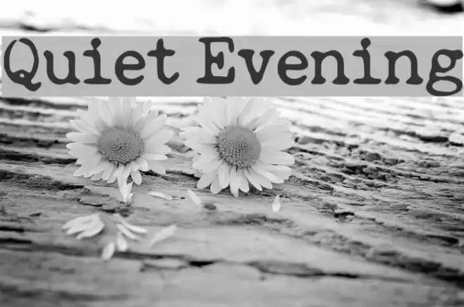 Quiet Evening Font examples