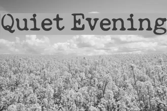Quiet Evening Font examples