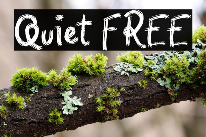 Quiet FREE Example 1