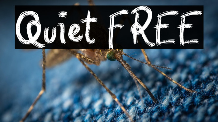 Quiet FREE Example 2