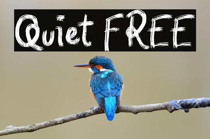 Quiet FREE Example 3