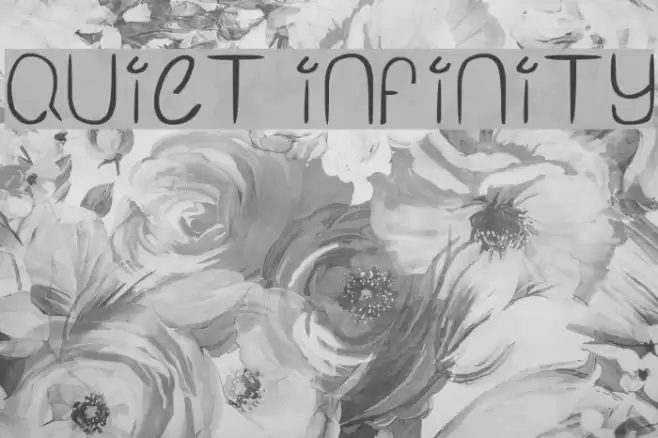 Quiet Infinity フォント examples
