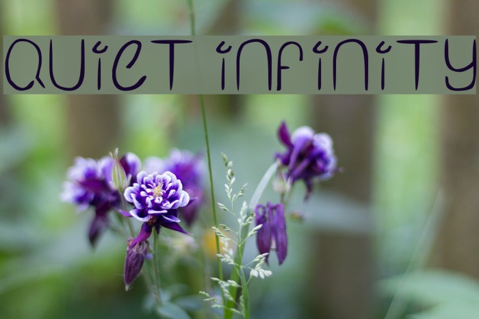 Quiet Infinity Font examples