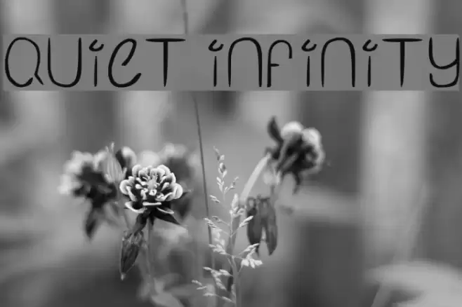 Quiet Infinity フォント examples