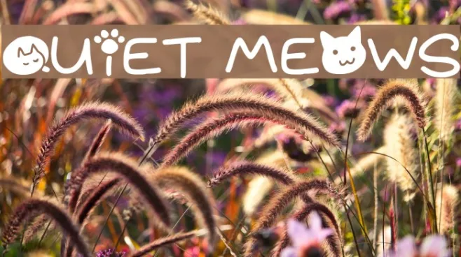 Quiet Meows Example 2