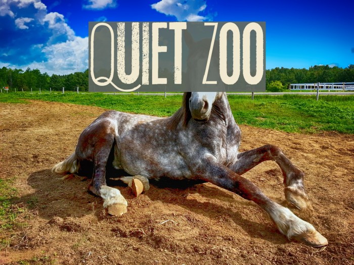 Quiet Zoo Example 1