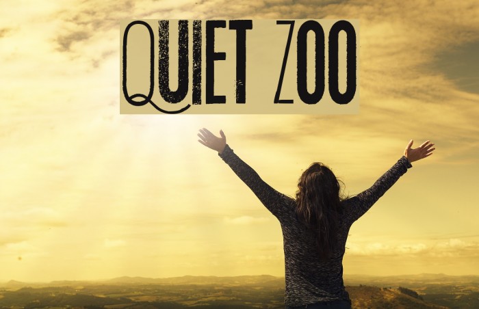 Quiet Zoo Example 2