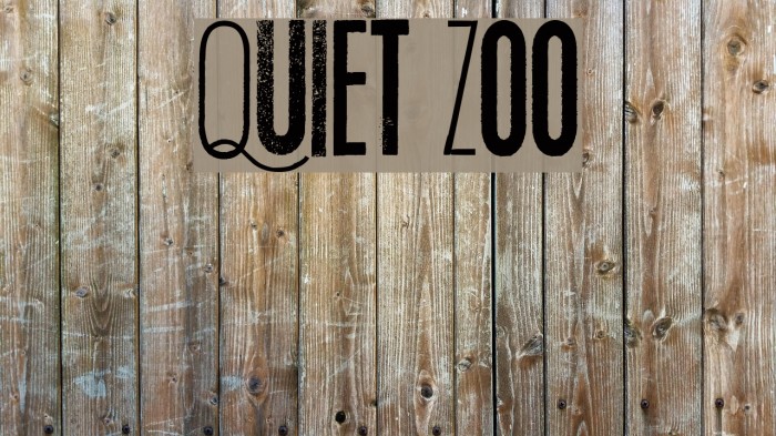 Quiet Zoo Example 3