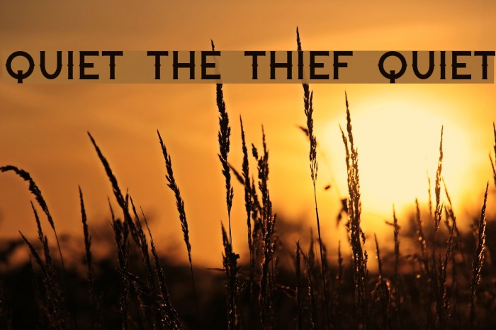Quiet the Thief Quiet Font examples