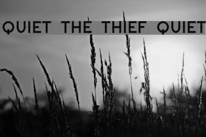 Quiet the Thief Quiet フォント examples