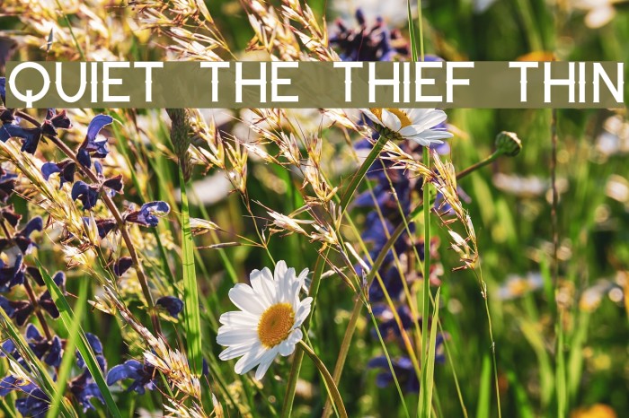 Quiet the Thief Thin Font examples