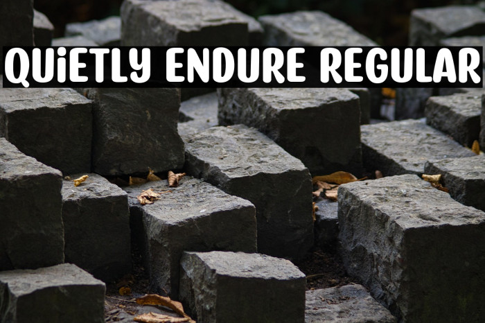 Quietly Endure Regular Example 2