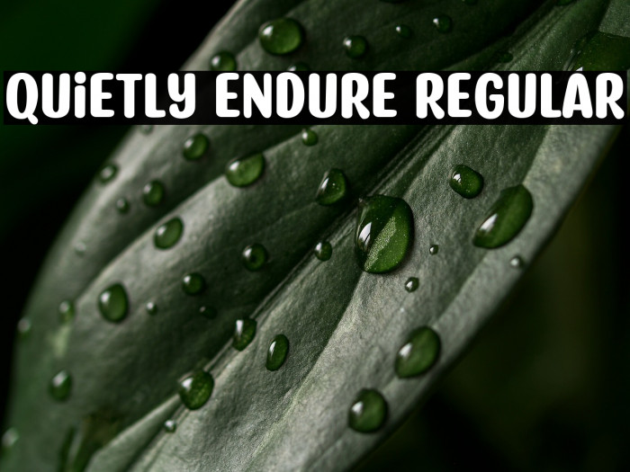 Quietly Endure Regular Example 3
