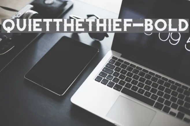 QuiettheThief-Bold Example 2