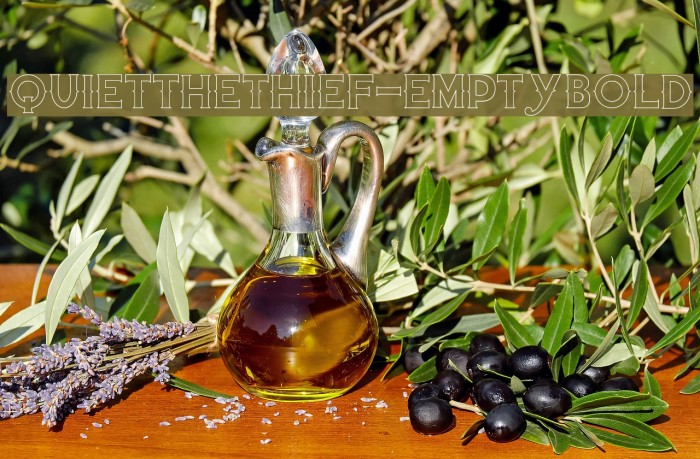 QuiettheThief-EmptyBold Example 3