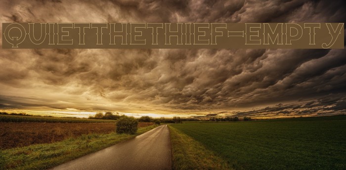 QuiettheThief-Empty Example 3