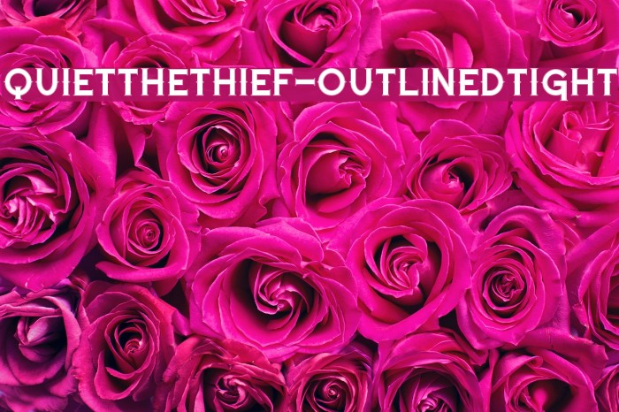 QuiettheThief-OutlinedTight Example 2