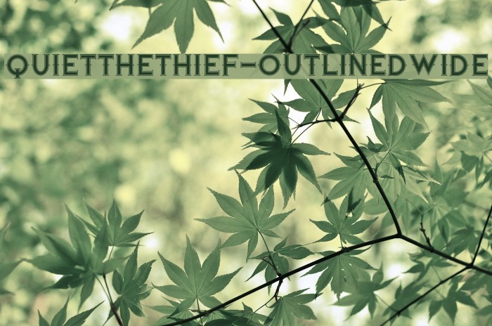 QuiettheThief-OutlinedWide Font examples