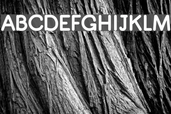 Quiglet Font examples