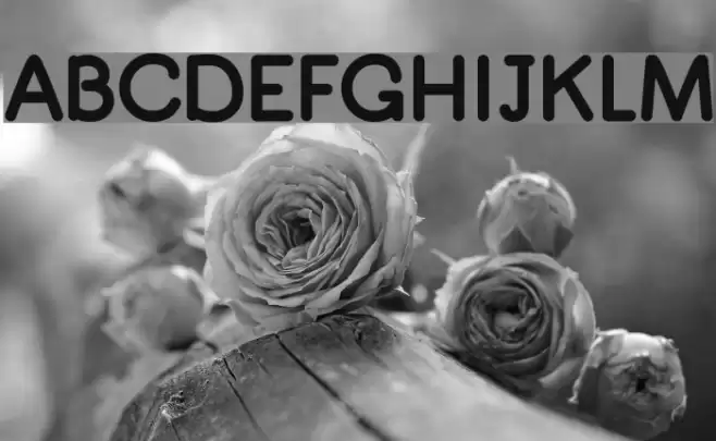 Quiglet Font examples