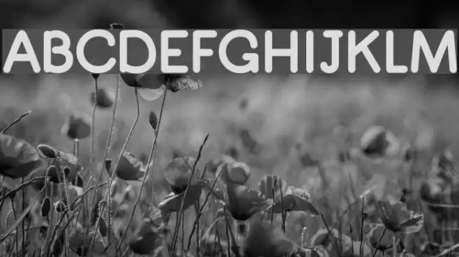 Quiglet Font examples