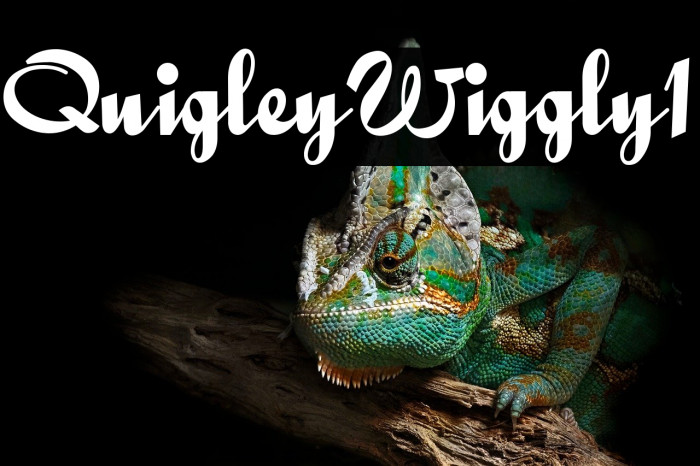 QuigleyWiggly1 Example 1