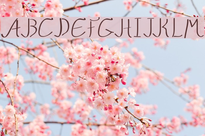 QuikMarker Example 3