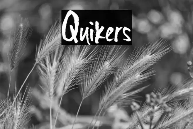 Quikers Font examples