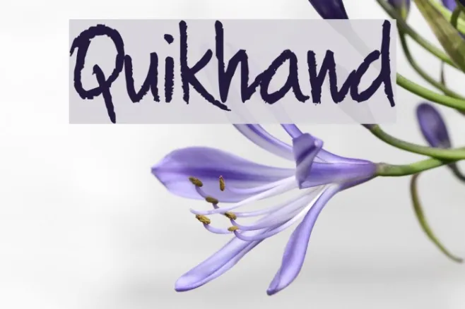 Quikhand Example 2