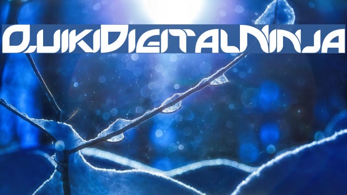 QuikiDigitalNinja Example 1