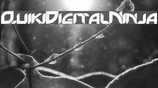 QuikiDigitalNinja Font examples