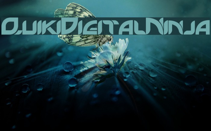 QuikiDigitalNinja Example 3