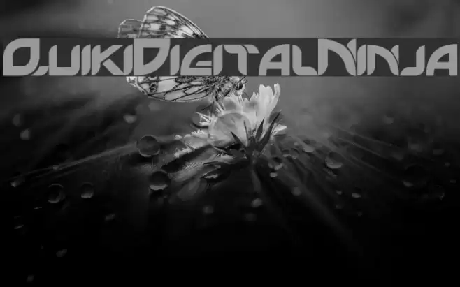 QuikiDigitalNinja Font examples