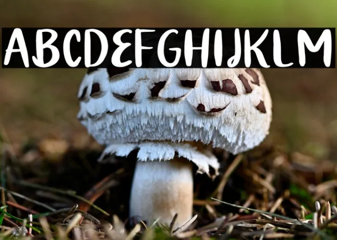 Quiky Regular Example 2