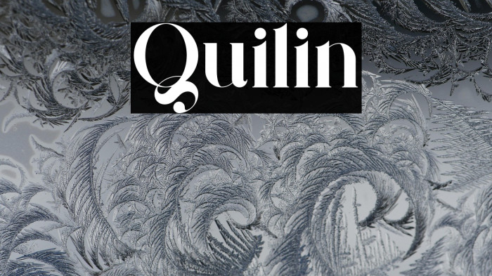 Quilin Example 2