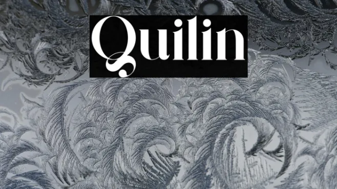 Quilin Example 2