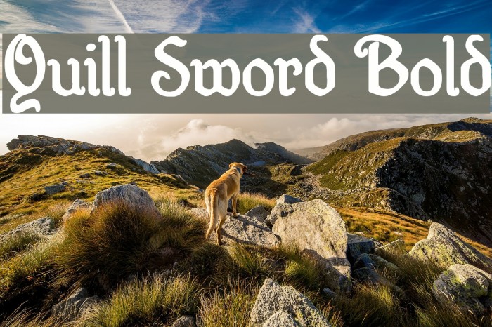 Quill Sword Bold Font examples