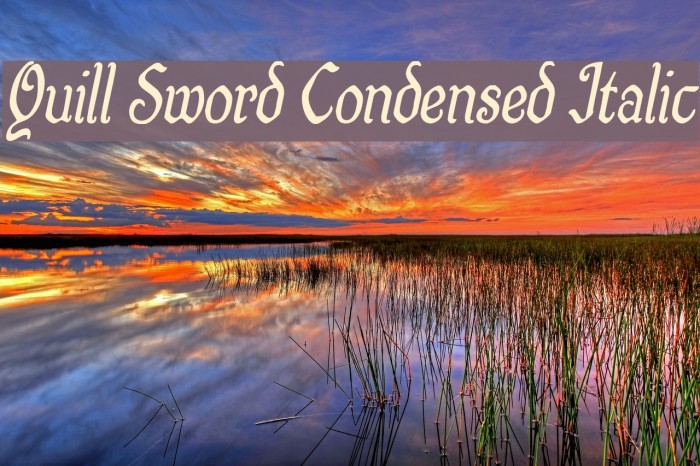 Quill Sword Condensed Italic Font examples