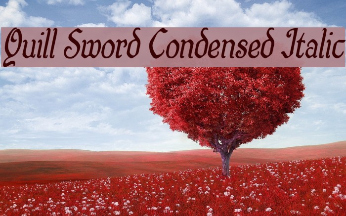Quill Sword Condensed Italic Font examples