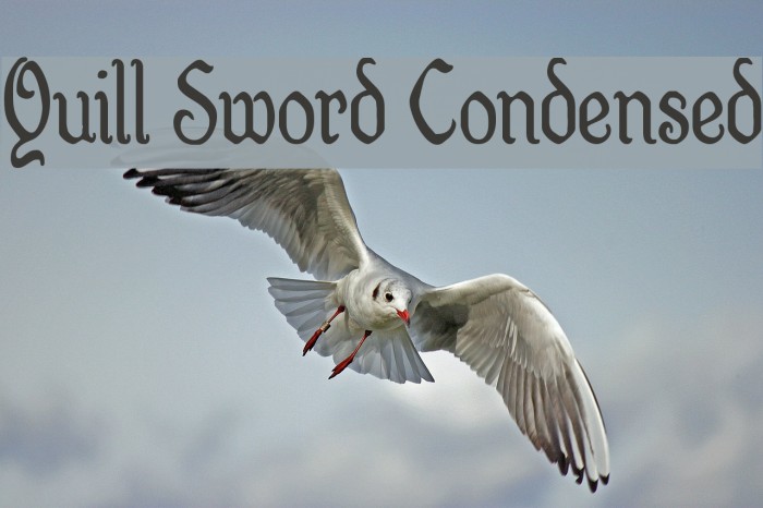 Quill Sword Condensed Font examples