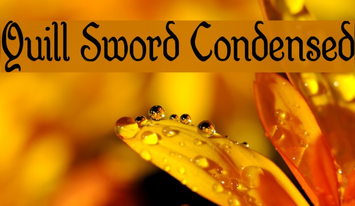 Quill Sword Condensed Font examples
