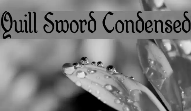 Quill Sword Condensed Font examples