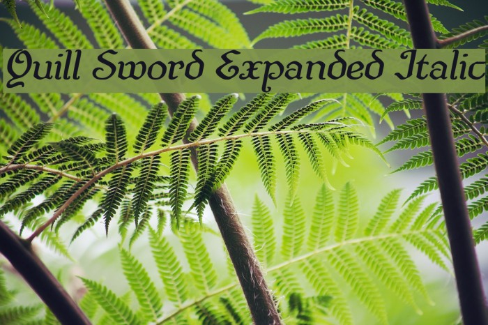 Quill Sword Expanded Italic Font examples