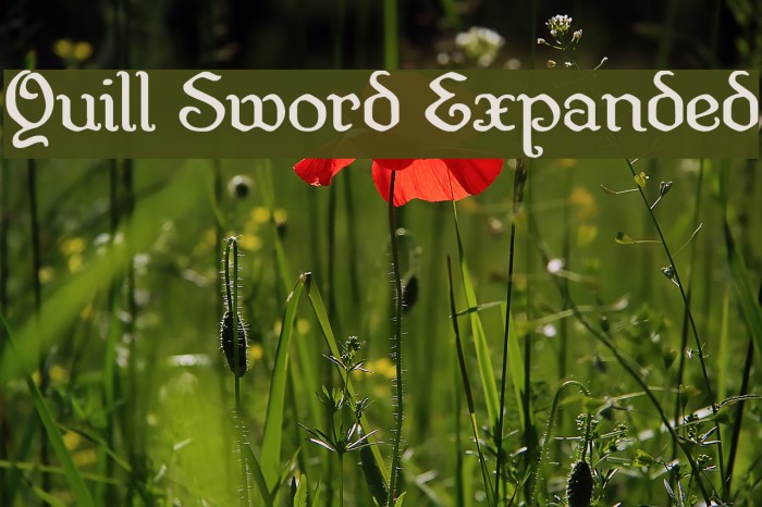 Quill Sword Expanded Font examples